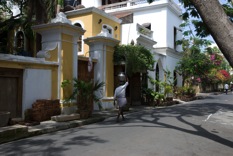 Pondi (4 of 18)